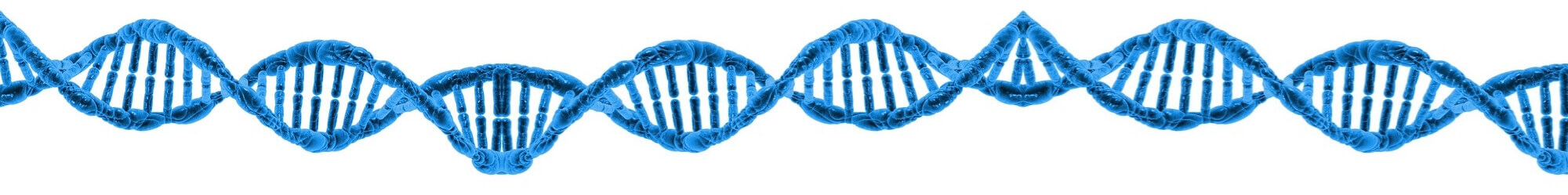 DNA-Screening - Die Zukunft der Dna Diagnostik