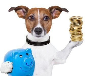 DNA Test Hund - Rassebestimmung - Sparen Sie bares Geld